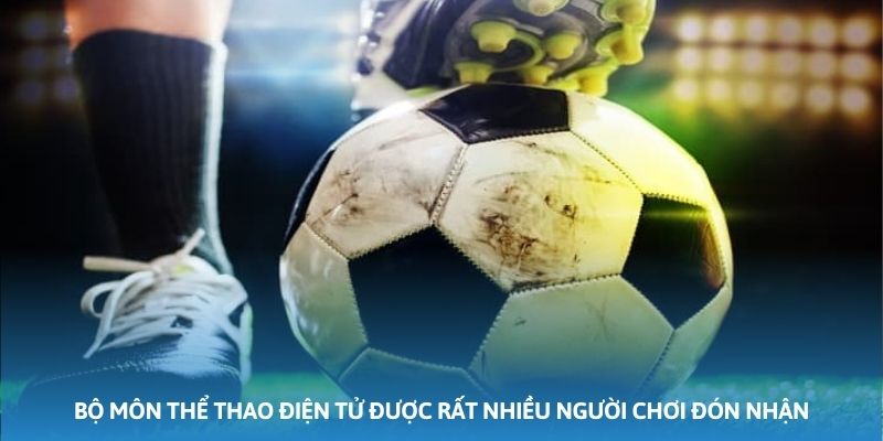 Bộ môn thể thao điện tử được rất nhiều người chơi đón nhận